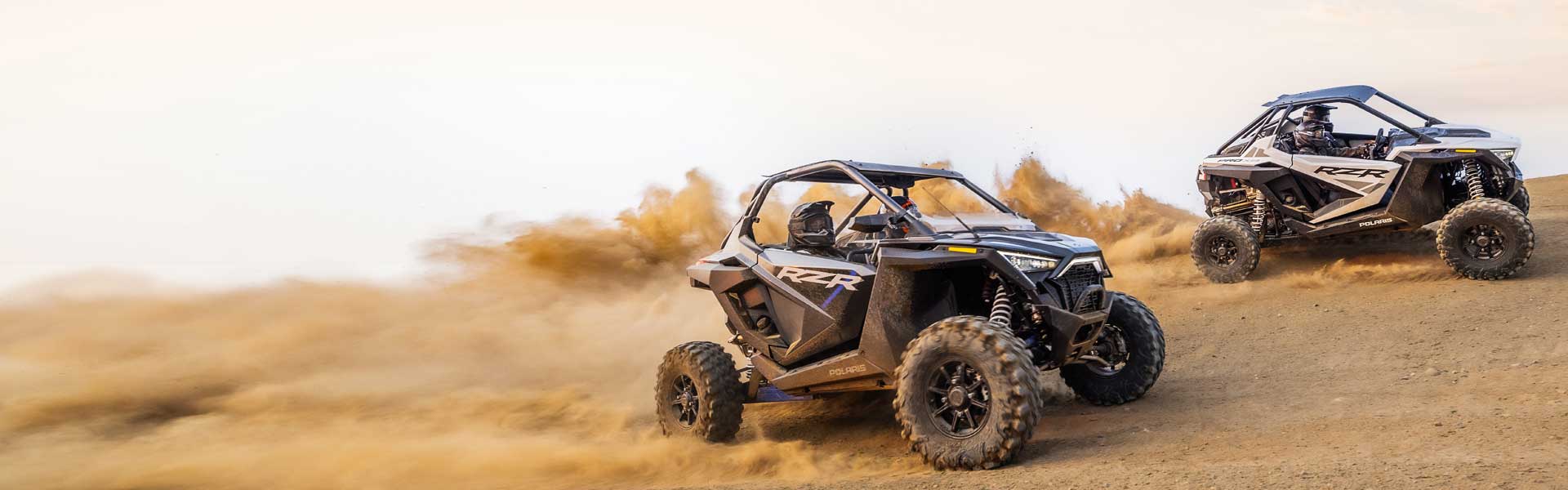 Rzr PRO XP