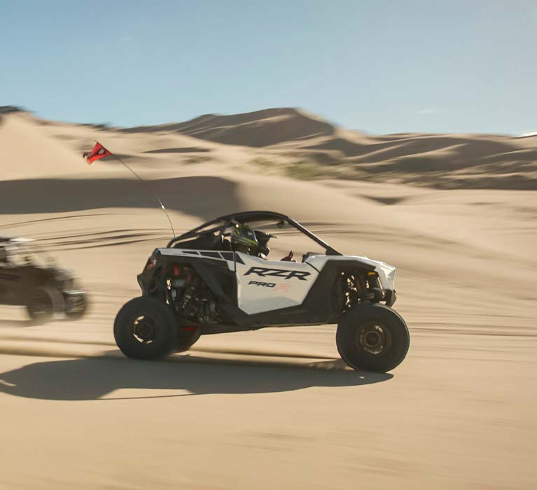 Rzr PRO R